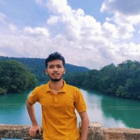 Vinay L Patige
