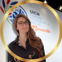 Antonela Brianese