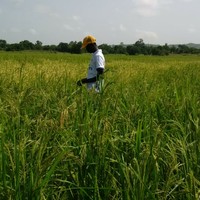 Amadou Toure