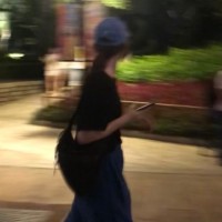 常春藤