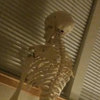 Hip Kiddo