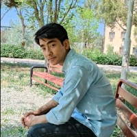 Mohammadreza Gholami
