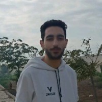 Mustafa Abdelaziz