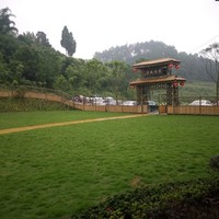 何大进