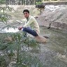 AMZED KHAN