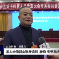 Li Wang