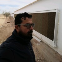 saad amor