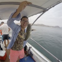 Lei Meng