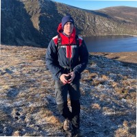 Donal Leavy