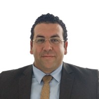 Ahmed Abdelkarim Hassanien