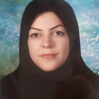 Z Rezai