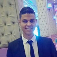 Ali Hamdy Mohamed
