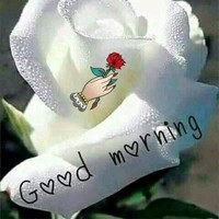 Rupesh kumar k