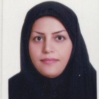 Zeinab Kindzizi