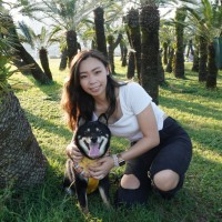 Judy Law