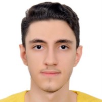 Alaa Najjar