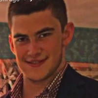 Harrison Domeshek