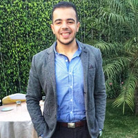 Ibrahim Mashaly
