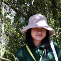 Quynh Phung