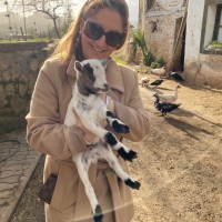 María De Los Ángeles Marqués Álvarez