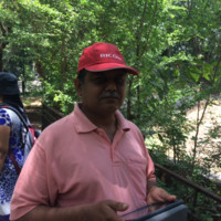 S Gurumurthy
