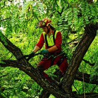 Gustaw Stępień - Wasilewski
