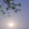 NITESH SINGH