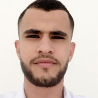 Hamdi Smida