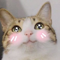 王静伟