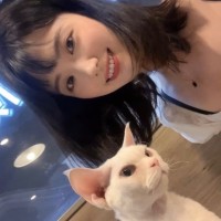 刘淑颖