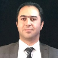 Hamid-Reza Alizadeh