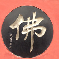 Elva Yang