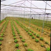 Tayousagritech Tayousagritech