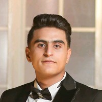 Mahmoud Alaa-Eldeen