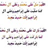 Sayed Najibullah