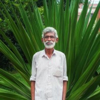V K Sreedharan