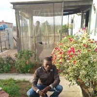 Tshepang Wiseman Matabane