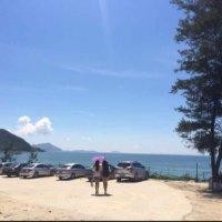 陈燕玉