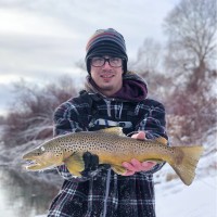 Collin Newton-Treacy