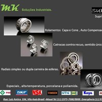 cleverson luiz da silva