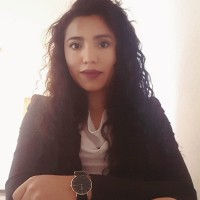 Michell Vargas Alanis