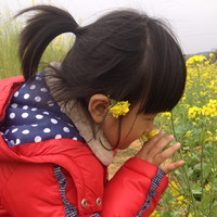 weixiao chen