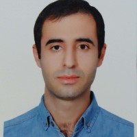 SABER SALEHI