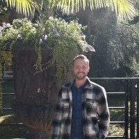 Mark Van Hees