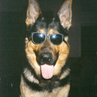 Robert Hunt