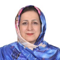 Mahnazsadat Hakamiha