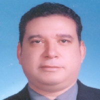 Sayed Hassan