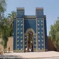 سلمان الصالحي الصالحي