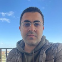 Amr Ali