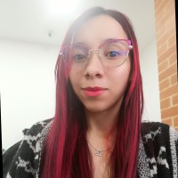 Karen Becerra Galindo